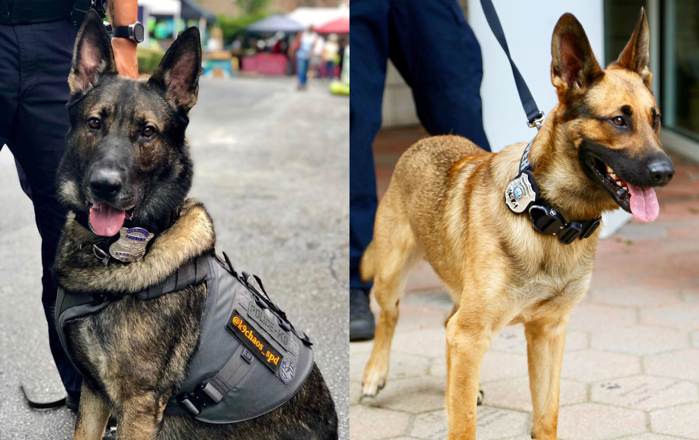 Two K9 officers wearing Smith and Warren Badges